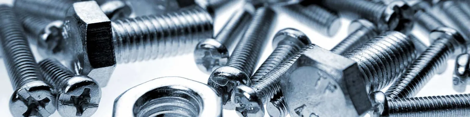 Stainless Steel Nuts